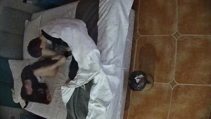 大学城 1-27 大学生情侣 女生是个眼镜妹 模样身材都在线 年轻的奶子又白又挺 大小刚刚好 萌化老夫 预览图 1