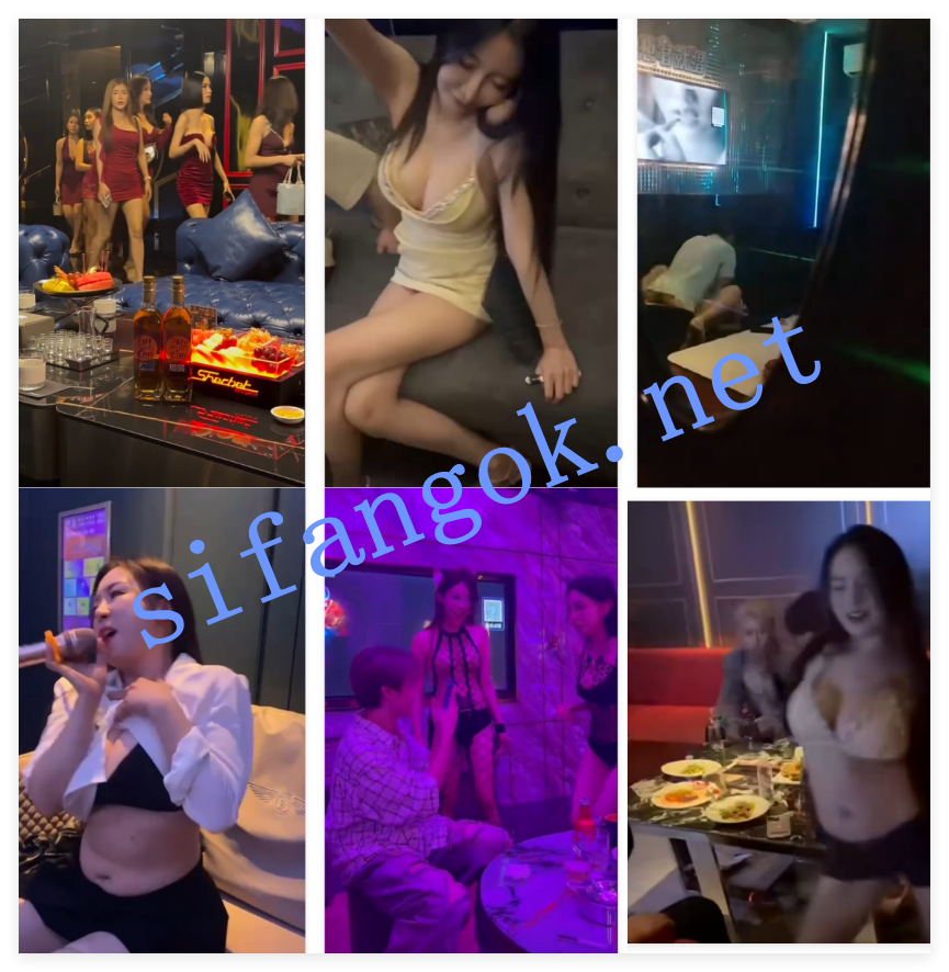 ❤️国内外各大KTV包厢文化 群魔乱舞535V 预览图 10