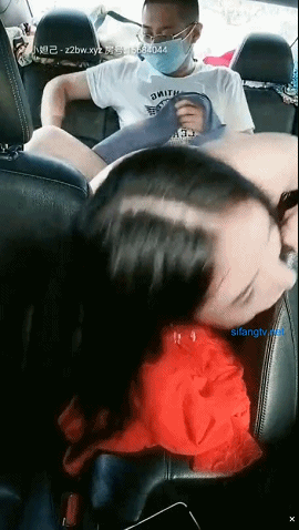 强推！户外经典【南方联合体模】骚女神约粉丝群p啪啪 车震合集！ 预览图 59