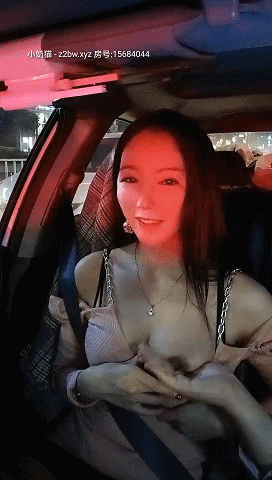 强推！户外经典【南方联合体模】骚女神约粉丝群p啪啪 车震合集！ 预览图 16