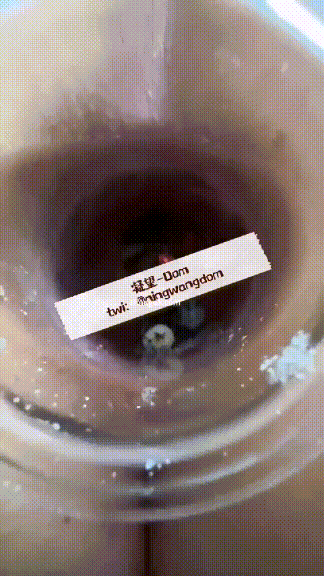 超强视觉盛宴！偏执狂顶级女体调教大神【凝望DOM】最新12月作品⑴，五花八门各种虐待折磨母狗的方法(40V) 预览图 7