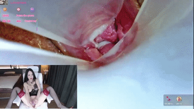 ❤️敏感丰润尤物【AYW-21】肥臀坐脸喷水，内窥淫穴观赏肉壁【82V/46G】 预览图 47