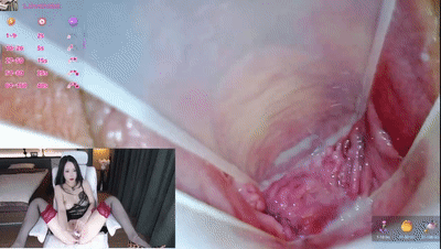 ❤️敏感丰润尤物【AYW-21】肥臀坐脸喷水，内窥淫穴观赏肉壁【82V/46G】 预览图 65