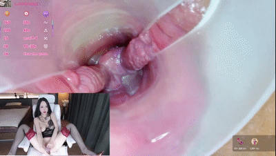 ❤️敏感丰润尤物【AYW-21】肥臀坐脸喷水，内窥淫穴观赏肉壁【82V/46G】 预览图 63