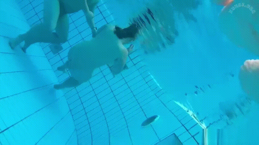 男女混游的裸体泳池中惊现老六 带镜头水下偷拍 原来水下真有水面看不到的东西 水下打炮人浪水也浪啊 预览图 2