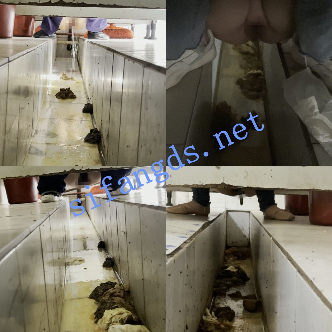 ✅【重口厕拍】女拍手沟式旱厕偷拍-满屏大便 拉稀第23期 预览图 1