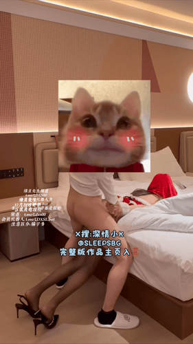 推特泡良大神【sleepsbg深情小K】约啪大长腿反差女高跟黑丝御姐合集【52V41G】 预览图 19