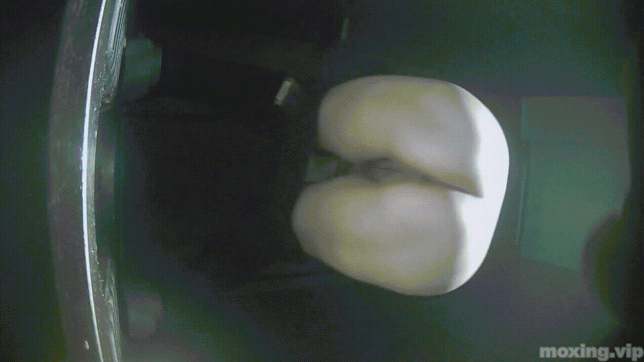 全网首发❤️【厕拍】酒吧绿光系列 后拍几百位小姐姐尿尿 「某房原版」合集【268V+12.4G】 预览图 81