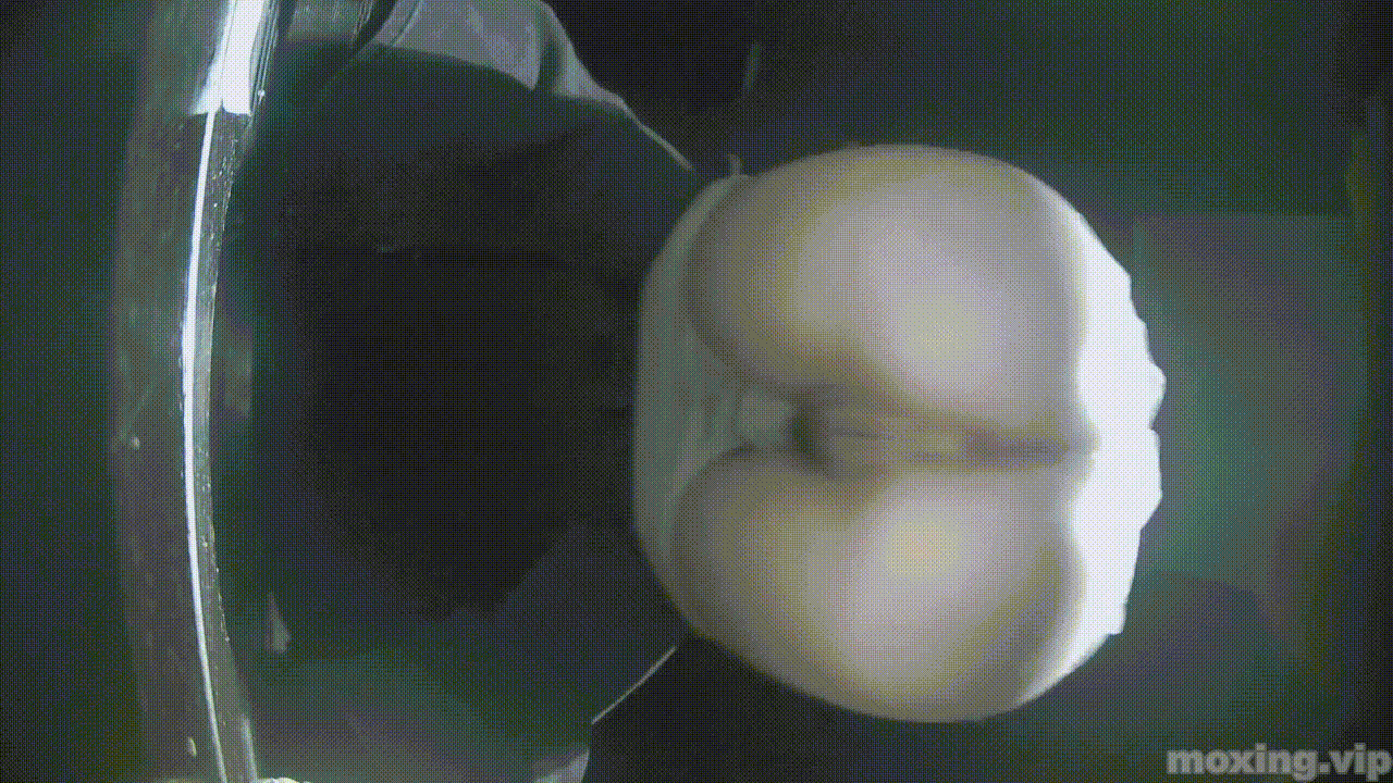 全网首发❤️【厕拍】酒吧绿光系列 后拍几百位小姐姐尿尿 「某房原版」合集【268V+12.4G】 预览图 68