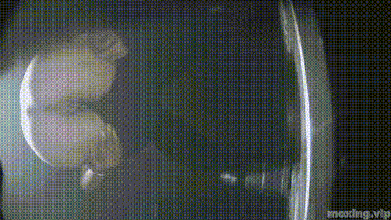 全网首发❤️【厕拍】酒吧绿光系列 后拍几百位小姐姐尿尿 「某房原版」合集【268V+12.4G】 预览图 40