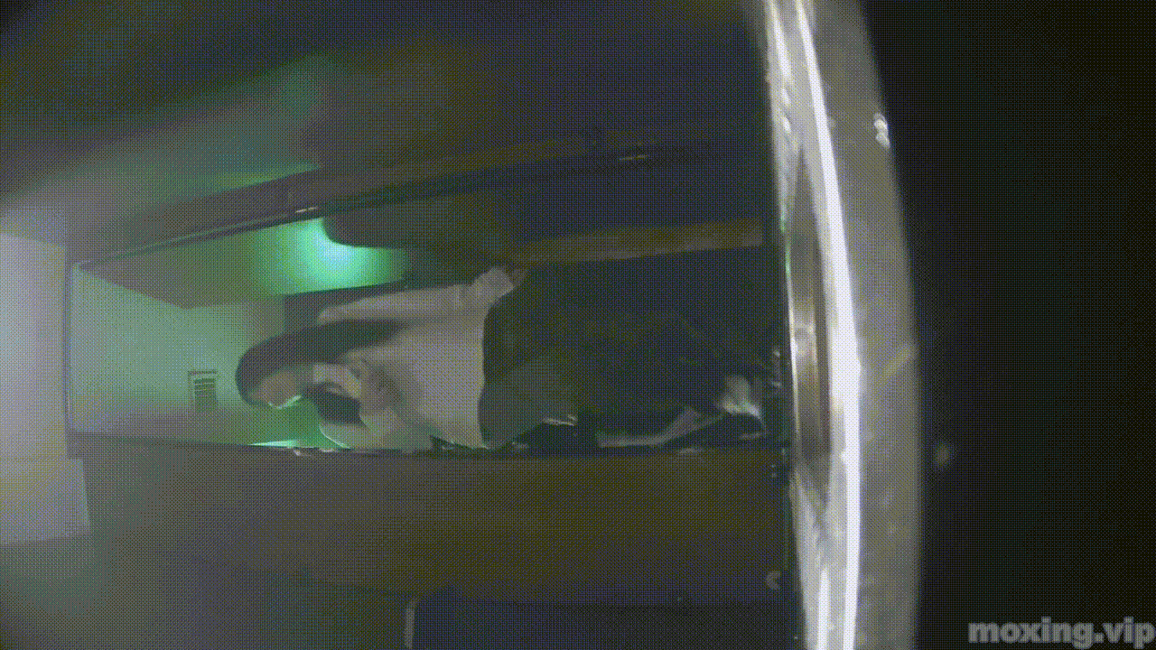 全网首发❤️【厕拍】酒吧绿光系列 后拍几百位小姐姐尿尿 「某房原版」合集【268V+12.4G】 预览图 38