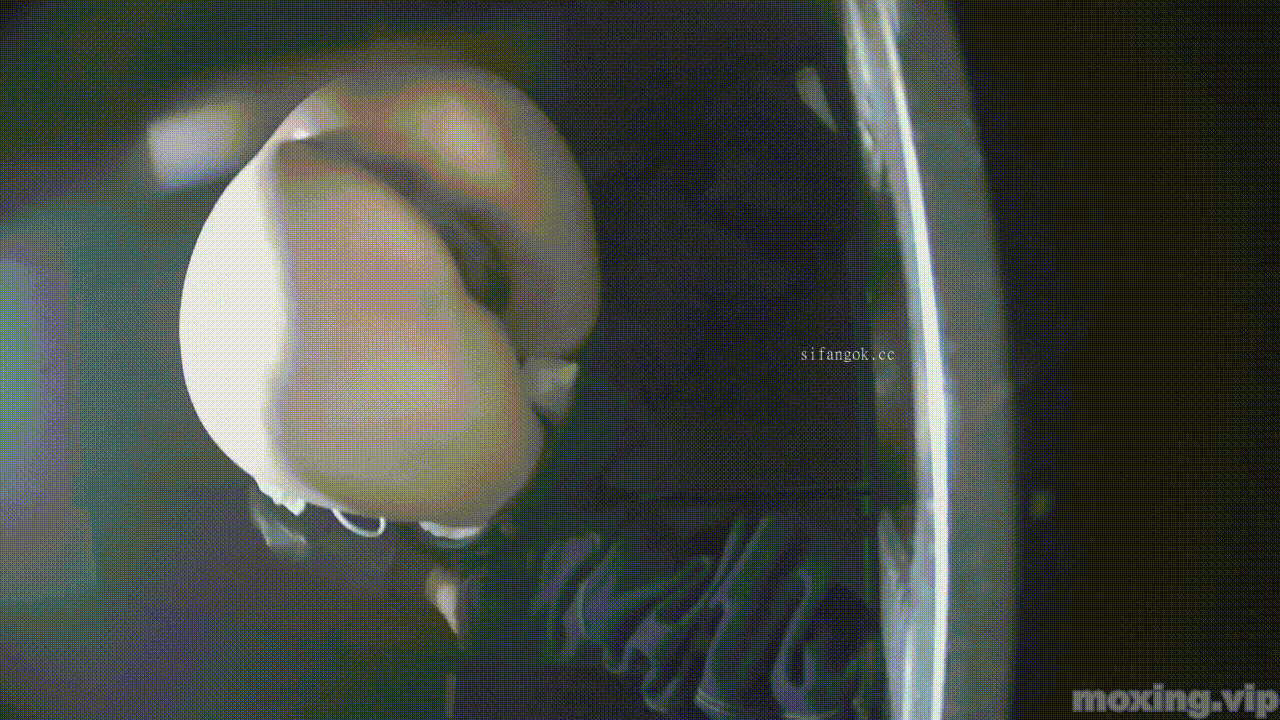 全网首发❤️【厕拍】酒吧绿光系列 后拍几百位小姐姐尿尿 「某房原版」合集【268V+12.4G】 预览图 56