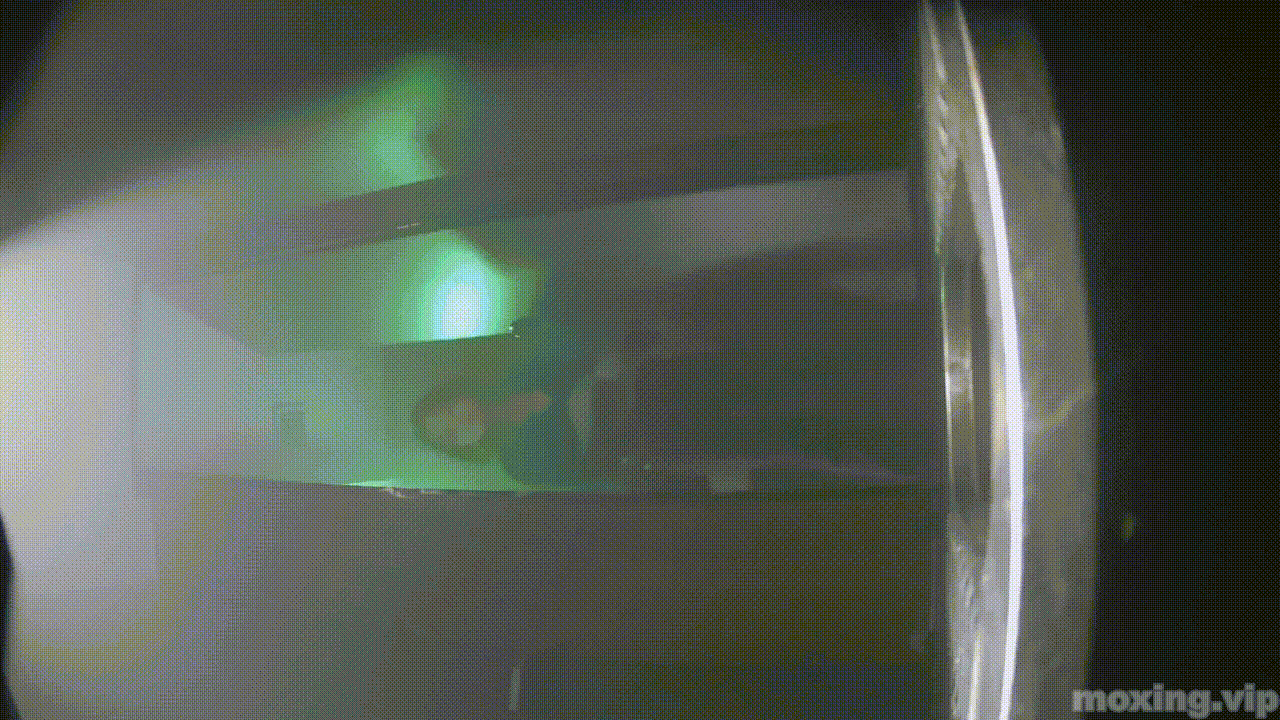 全网首发❤️【厕拍】酒吧绿光系列 后拍几百位小姐姐尿尿 「某房原版」合集【268V+12.4G】 预览图 21