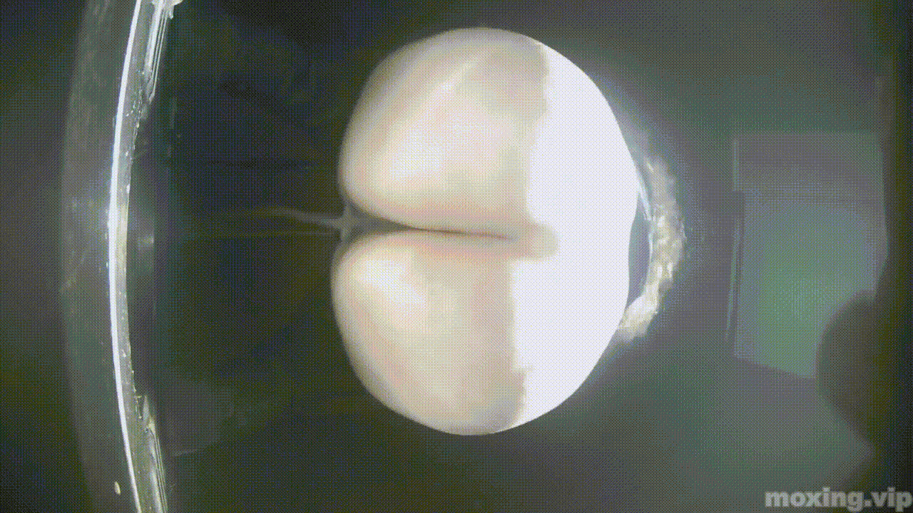 全网首发❤️【厕拍】酒吧绿光系列 后拍几百位小姐姐尿尿 「某房原版」合集【268V+12.4G】 预览图 97