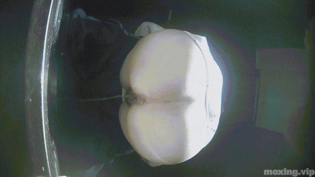 全网首发❤️【厕拍】酒吧绿光系列 后拍几百位小姐姐尿尿 「某房原版」合集【268V+12.4G】 预览图 71