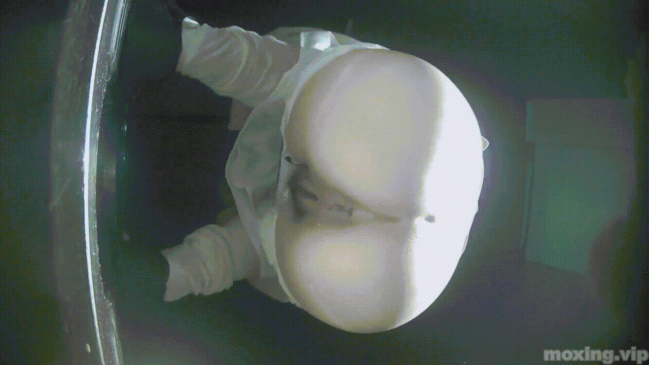 全网首发❤️【厕拍】酒吧绿光系列 后拍几百位小姐姐尿尿 「某房原版」合集【268V+12.4G】 预览图 77