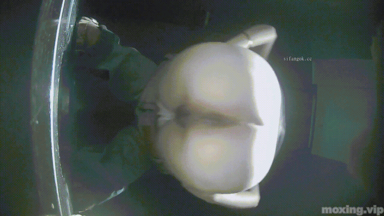 全网首发❤️【厕拍】酒吧绿光系列 后拍几百位小姐姐尿尿 「某房原版」合集【268V+12.4G】 预览图 72