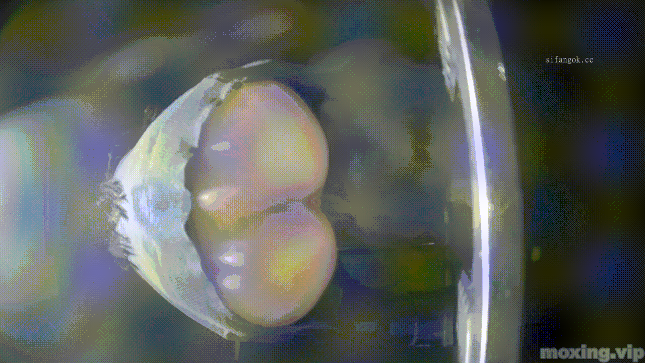 全网首发❤️【厕拍】酒吧绿光系列 后拍几百位小姐姐尿尿 「某房原版」合集【268V+12.4G】 预览图 43