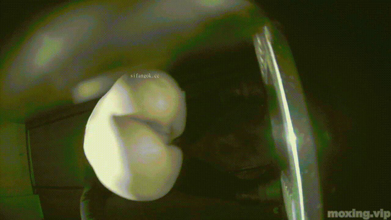 全网首发❤️【厕拍】酒吧绿光系列 后拍几百位小姐姐尿尿 「某房原版」合集【268V+12.4G】 预览图 87