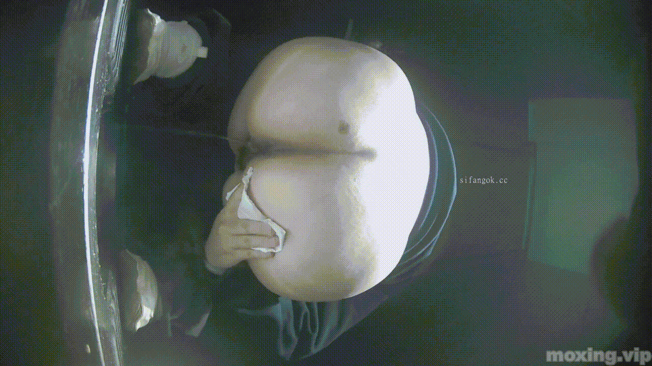 全网首发❤️【厕拍】酒吧绿光系列 后拍几百位小姐姐尿尿 「某房原版」合集【268V+12.4G】 预览图 82