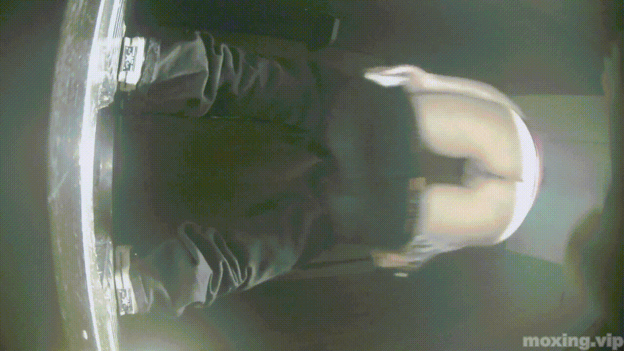 全网首发❤️【厕拍】酒吧绿光系列 后拍几百位小姐姐尿尿 「某房原版」合集【268V+12.4G】 预览图 74