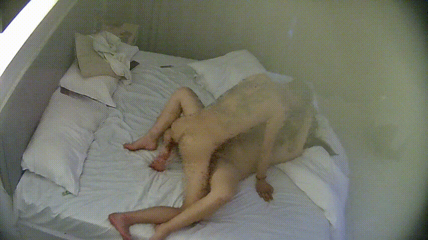 民宿酒店 2-2 纹身男有个巨乳女友 续 纹身男态度积极但实力差点 被女友拿逼怼脸 还在床下玩后入 预览图 4