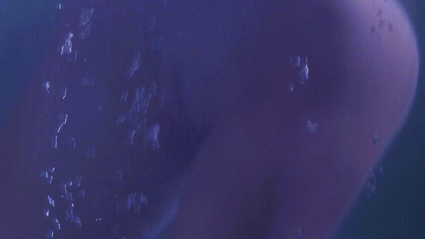 好莱坞电影成人版合集（权力的游戏、加勒比海盗、人猿泰山等等改编原版无水印） 预览图 74