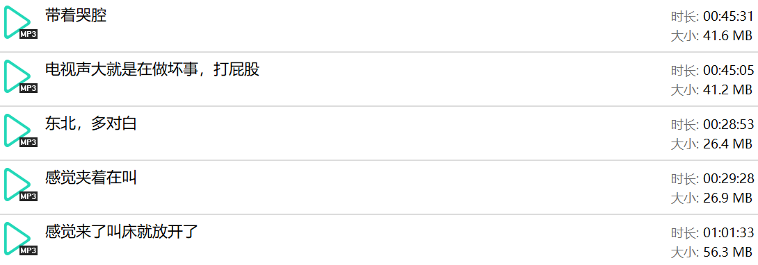 【酒店民宿录音】25年1-3月民宿酒店偷音整理合集 预览图 1