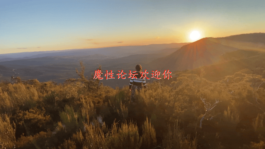 Happy Sofia Nana 华裔大奶肥臀 视频合集 294部作品【截止25.12.06】290V66G 预览图 5