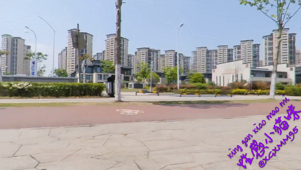 户外真实勾引露出【性感小猫咪】视频合集 预览图 18