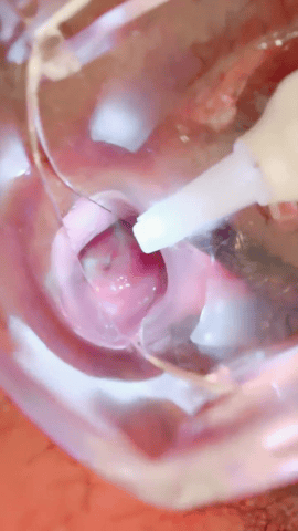 偷拍舍友和女厕学生回归 大秀扩音器展示粉嫩子宫口 预览图 12