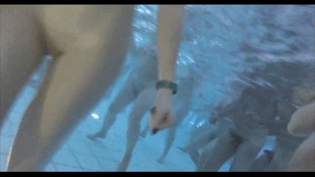 偷拍公共海滩泳池美女全裸，情侣无视来往路人尽情造爱。 预览图 29