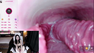 ❤️敏感丰润尤物【AYW-21】肥臀坐脸喷水，内窥淫穴观赏肉壁【82V/46G】 预览图 42