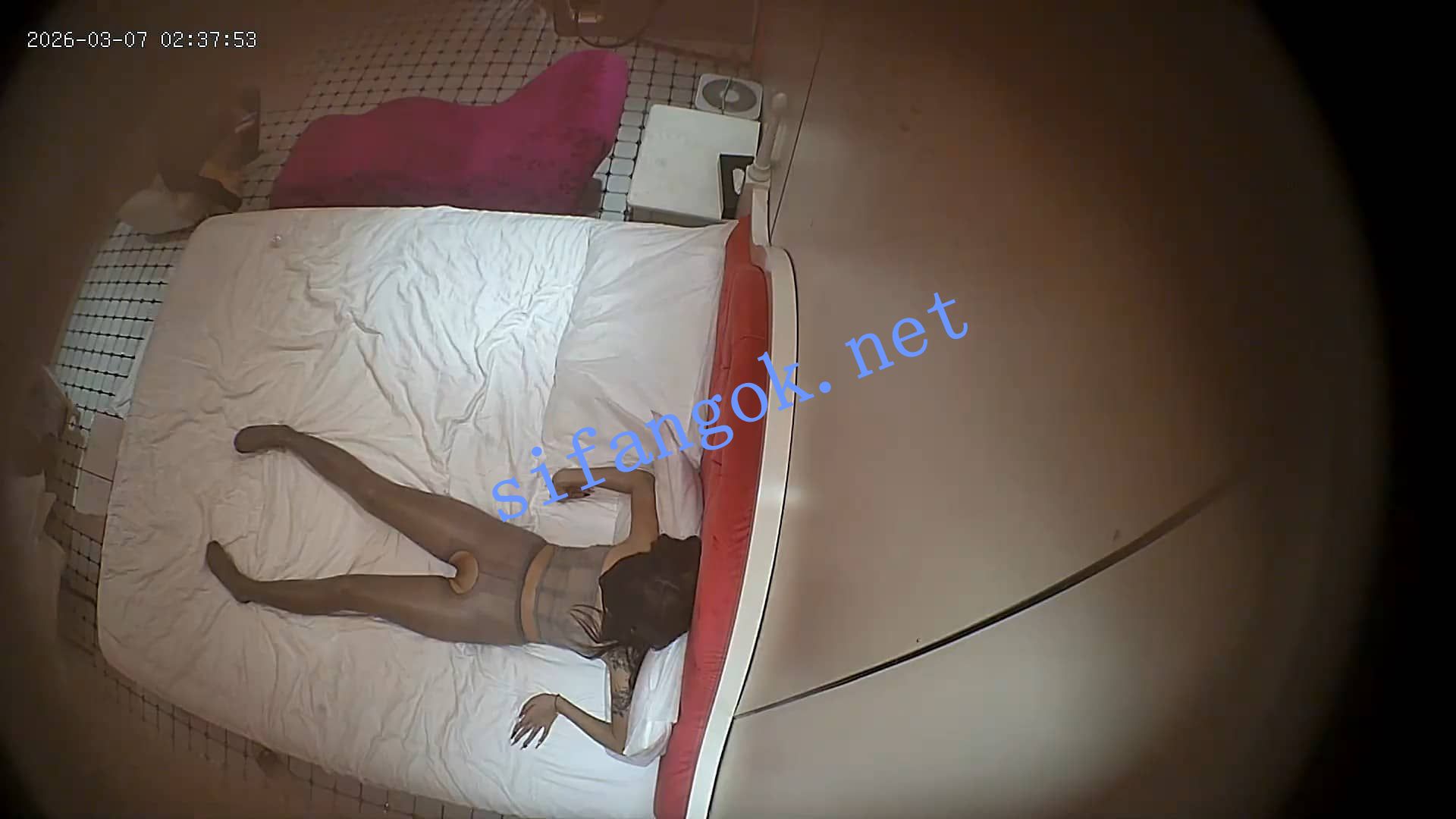 ❤️20260307❤️好身材的美女到酒店不啪啪换各种黑丝拍骚照 预览图 2